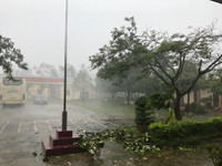 Bão số 10 hướng vào miền Trung: Cuồng phong ảnh 7