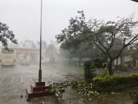 Bão số 10 hướng vào miền Trung: Cuồng phong ảnh 7 Bão số 10 hướng vào miền Trung: Cuồng phong ảnh 7