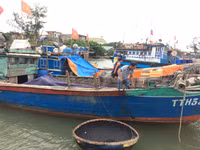 25 nghìn học sinh Thừa Thiên Huế nghỉ học trong ngày 15/9 ảnh 5 25 nghìn học sinh Thừa Thiên Huế nghỉ học trong ngày 15/9 ảnh 5