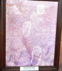 Thăm bảo tàng tư nhân đầu tiên ở miền Tây ảnh 8