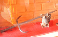 Thăm bảo tàng tư nhân đầu tiên ở miền Tây ảnh 7