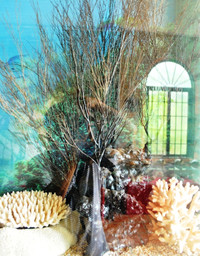 Thăm bảo tàng tư nhân đầu tiên ở miền Tây ảnh 5