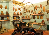 Thăm bảo tàng tư nhân đầu tiên ở miền Tây ảnh 6