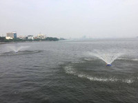 Trường học ven hồ Tây khắc phục mùi cá chết ảnh 2