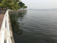 Trường học ven hồ Tây khắc phục mùi cá chết ảnh 3