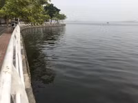 Trường học ven hồ Tây khắc phục mùi cá chết ảnh 3