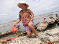 “Dị nhân” đầm Chuồn ảnh 2