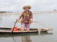 “Dị nhân” đầm Chuồn ảnh 5