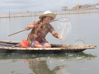 “Dị nhân” đầm Chuồn ảnh 8