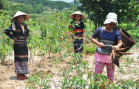 Vượt núi tìm .... duyên ảnh 3