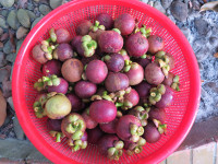 Giáng châu xứ Huế mất mùa ảnh 7