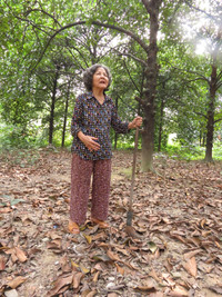 Giáng châu xứ Huế mất mùa ảnh 6