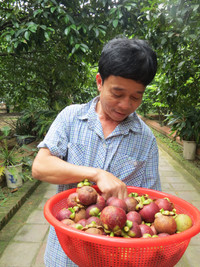 Giáng châu xứ Huế mất mùa ảnh 4