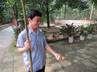 Giáng châu xứ Huế mất mùa ảnh 3