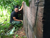 Kon Tum: Qua mặt nhiều lực lượng chức năng, lâm tặc phá rừng vùng biên ảnh 6