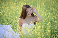 Thiếu nữ Hà thành tinh khôi, dịu ngọt bên đồng cải vàng ảnh 4