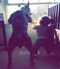 nhung hinh anh khien chi em 