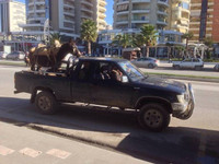 nhung hinh anh khien chi em 