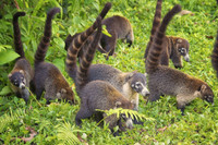 Lạc vào xứ sở kỳ diệu ảnh 9