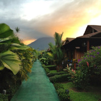 Lạc vào xứ sở kỳ diệu ảnh 10