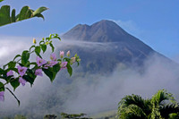 Lạc vào xứ sở kỳ diệu ảnh 7