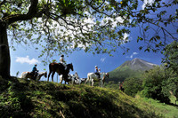 Lạc vào xứ sở kỳ diệu ảnh 8