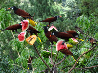 Lạc vào xứ sở kỳ diệu ảnh 2