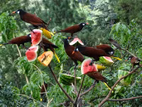 Lạc vào xứ sở kỳ diệu ảnh 2