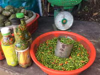 Ghé thăm "con đường sản vật" của người Cơ Tu ảnh 1