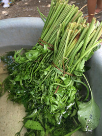 Ghé thăm "con đường sản vật" của người Cơ Tu ảnh 4