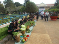 Tái hiện lễ hội của tình đoàn kết Kinh - Thượng ảnh 4 Tái hiện lễ hội của tình đoàn kết Kinh - Thượng ảnh 4