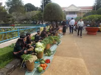 Tái hiện lễ hội của tình đoàn kết Kinh - Thượng ảnh 4