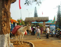 Tái hiện lễ hội của tình đoàn kết Kinh - Thượng ảnh 1 Tái hiện lễ hội của tình đoàn kết Kinh - Thượng ảnh 1