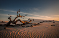 Đắm mình trong cảnh sắc thần tiên ảnh 4 Đắm mình trong cảnh sắc thần tiên ảnh 4