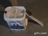 Những chiếc bẫy chuột cực thông minh khiến “cả họ nhà tý” phải đầu hàng ảnh 3