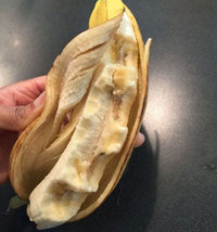 tinh-huong-oai-am-bo-me-noi-mot-dang-con-hieu-mot-neo