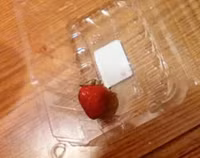 tinh-huong-oai-am-bo-me-noi-mot-dang-con-hieu-mot-neo-9