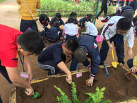 Ngôi trường của tình thương yêu ảnh 4