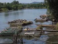 Dân khốn khổ vì cá nuôi chết bất thường ảnh 3