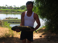 Dân khốn khổ vì cá nuôi chết bất thường ảnh 7