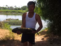 Dân khốn khổ vì cá nuôi chết bất thường ảnh 7