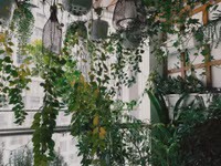 Những khu vườn đẹp như mơ trên ban công chỉ vài mét vuông 