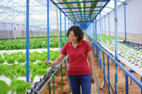 Vingroup ký thỏa thuận hợp tác với 500 hộ sản xuất ảnh 8