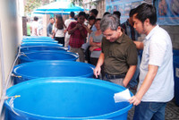 Cá Koi thi tài ảnh 1