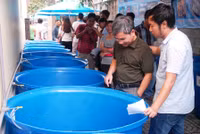 Cá Koi thi tài ảnh 1