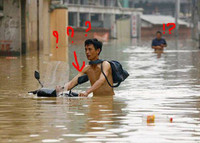 Hành động khó đỡ của người châu Á ảnh 5