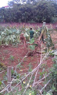 Hà Nội: Trực thăng rơi, nhiều người gặp nạn ảnh 5