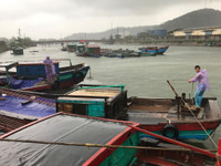 Nghệ An: Khẩn trương các biện pháp ứng phó với bão số 10 ảnh 2 Nghệ An: Khẩn trương các biện pháp ứng phó với bão số 10 ảnh 2