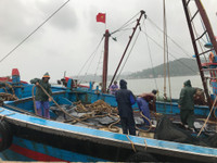 Nghệ An: Khẩn trương các biện pháp ứng phó với bão số 10 ảnh 1 Nghệ An: Khẩn trương các biện pháp ứng phó với bão số 10 ảnh 1