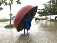 Nghệ An: Khẩn trương các biện pháp ứng phó với bão số 10 ảnh 3 Nghệ An: Khẩn trương các biện pháp ứng phó với bão số 10 ảnh 3